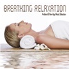Breathing Relaxation Ambient & New Age Music Selection, 2014