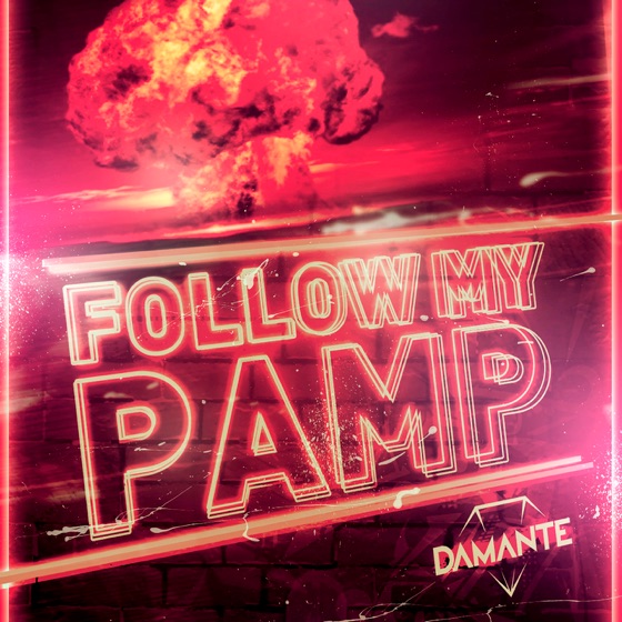 Cover artwork for Follow My Pamp (feat. Adam Clay) [Extended]