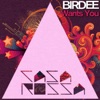 Birdee Wants You - Single