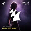 Stream & download Who You Want - Single