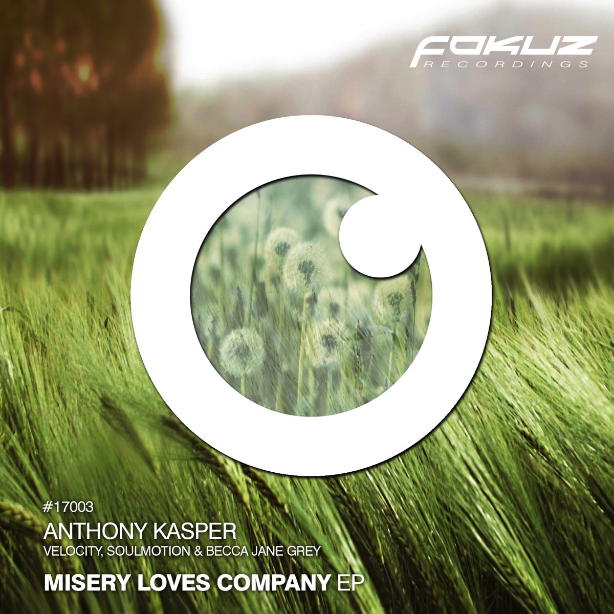 Misery Loves Company. Misery Loves co дискография. Fokuz recordings картинки. Hosted by Anthony Kasper.