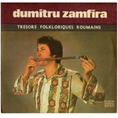 Dumitru Zamfira - Alunelul Înfundat