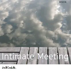 Intimate Meeting - Michel Conte