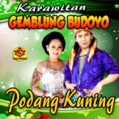 Podang Kuning (feat. Darwati) artwork