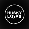 Husky Loops - EP artwork