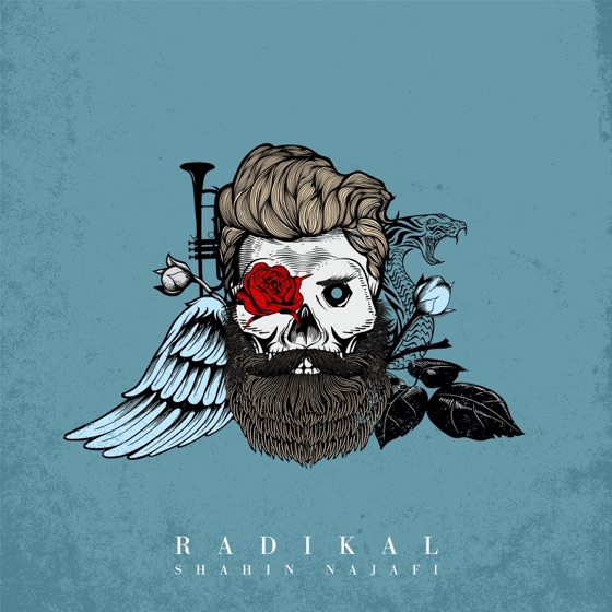 Cover artwork for Mosaddegh