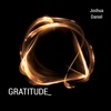 Gratitude - Single, 2017