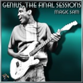 Genius, The Final Sessions artwork