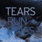 Part of the Glass - Tears Run Rings lyrics