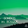 Sonidos del Bosque - Sonidos Naturales Relax para Dormir Bien y Ejercicios de Relajacion, 2017