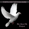 Yurtta Umut Dünyada Barış İçin (Bir Akın Ok Projesi)