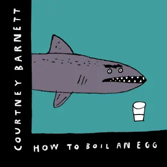 How to Boil an Egg by Courtney Barnett song reviws