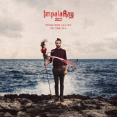 From the Valley to the Sea - Impala Ray