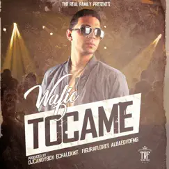 Tocame - Single by Wafic album reviews, ratings, credits