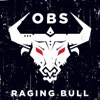 Raging Bull - Single