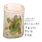 Pickles from the Jar - Courtney Barnett lyrics