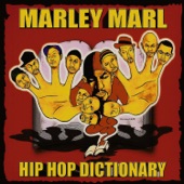 Hip Hop Dictionary artwork