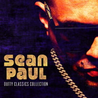 Sean Paul - Temperature artwork