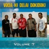 Voqa Ni Delai Dokidoki, Vol. 7