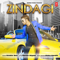 Stebin Ben, Vicky & Hardik - Zindagi artwork