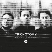 Trichotomy - Junk