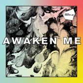 Awaken Me artwork