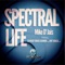 Spectral Life (Dvit Bousa Remix) - Mike D' Jais lyrics