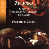 6 Sonates pour deux hautbois et basson, ZWV 181, No. 6 in C Minor: I. Andante artwork