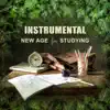 Instrumental New Age for Studying: Background Music for Deep Concentration, Exam Study, Improve Memory, Positive Thinking, Peace of Mind album lyrics, reviews, download