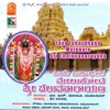 Jaya Janardhana Melukote Sri Cheluvanarayana