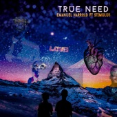 True Need (Instrumental) artwork