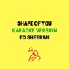 Shape of You (Originally Performed by Ed Sheeran) [Karaoke Version] - Single, 2017