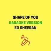 Shape of You (Originally Performed by Ed Sheeran) [Karaoke Version] artwork