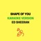 Shape of You (Originally Performed by Ed Sheeran) [Karaoke Version] artwork