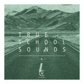 True School Sounds, Vol. 6 artwork