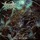 Desecrate the Faith-Malignant Divinity