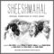 Bholasa Mann Tha - Piyush Mishra lyrics