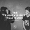 Eurovisioit (feat. Kube) - Single