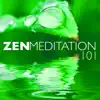 Zen Meditation 101 - Ambient Calm Sounds of Nature White Noise for Positive Thinking album lyrics, reviews, download
