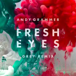 Fresh Eyes (Grey Remix) - Single - Andy Grammer