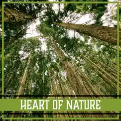 Heart of Nature: Relaxation & Meditation Natural Music, Sound of Birds, Ocean Waves, Rain, River, Wind, Crickets & Waterfall by Yoga Training Music Sounds album reviews, ratings, credits