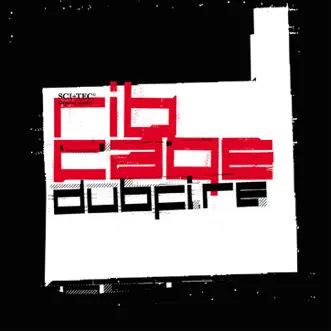 Ribcage - EP by Dubfire album reviews, ratings, credits