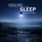 Sleeping With Sirens - Every Night Alder lyrics