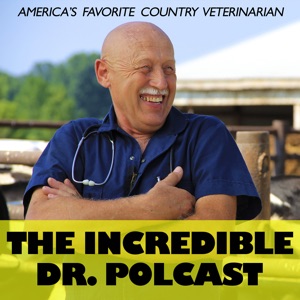 The Incredible Dr. Polcast – Ep. 6: No Lights, Just Cameras The Incredible Dr. Polcast - Ep. 6: No Lights, Just Cameras