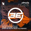 Your Loving Arms (Martin Roth NuStyle Remix) - Single