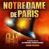 Notre Dame de Paris 2017 (Live au Palais des Congrès)