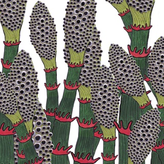 torche part chimp split torche part chimp split