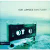 Dub Junkies 4 - Sanctuary album lyrics, reviews, download