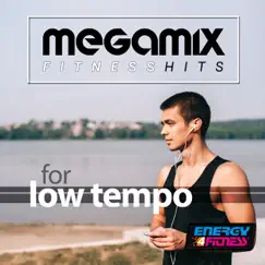 Megamix Fitness Hits for Low Tempo by Various Artists album reviews, ratings, credits