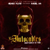 Los Intocables (feat. Anuel AA) artwork